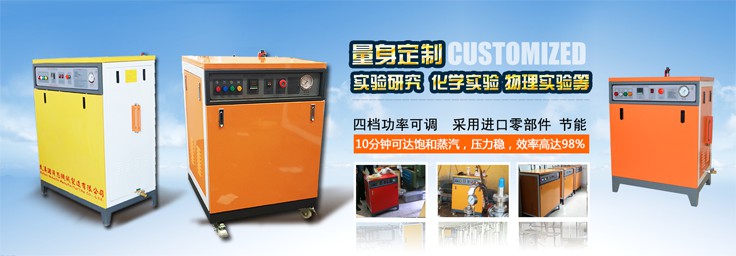 全自動(dòng)電加熱蒸汽發(fā)生器