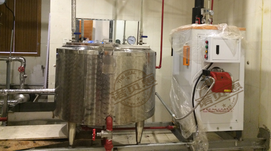 新加坡蒸汽發(fā)生器 新加坡蒸汽發(fā)生器