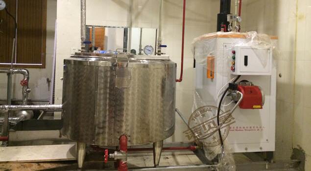 工業(yè)燃氣蒸汽鍋爐