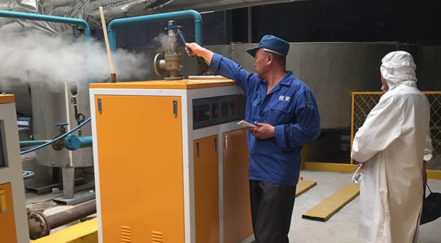 食品廠用蒸汽發(fā)生器 食品廠用蒸汽發(fā)生器