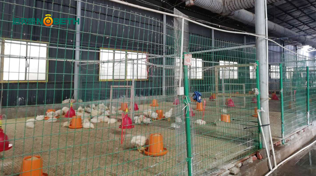 燃氣蒸汽鍋爐 燃氣蒸汽鍋爐