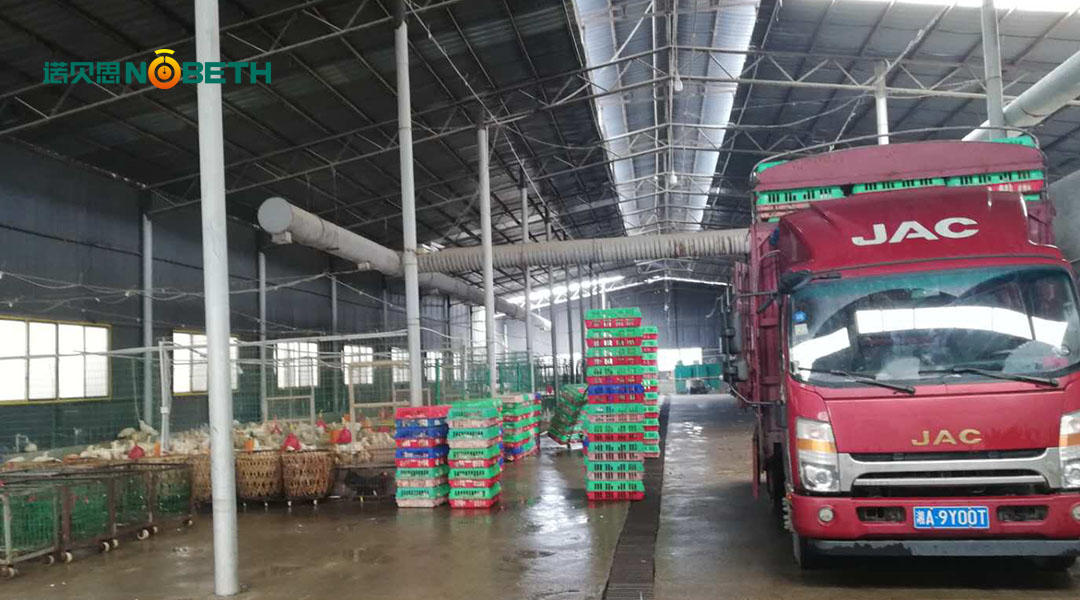 燃氣蒸汽鍋爐 燃氣蒸汽鍋爐