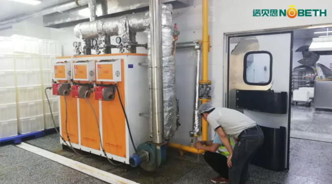 食品加工蒸汽發(fā)生器 食品加工蒸汽發(fā)生器