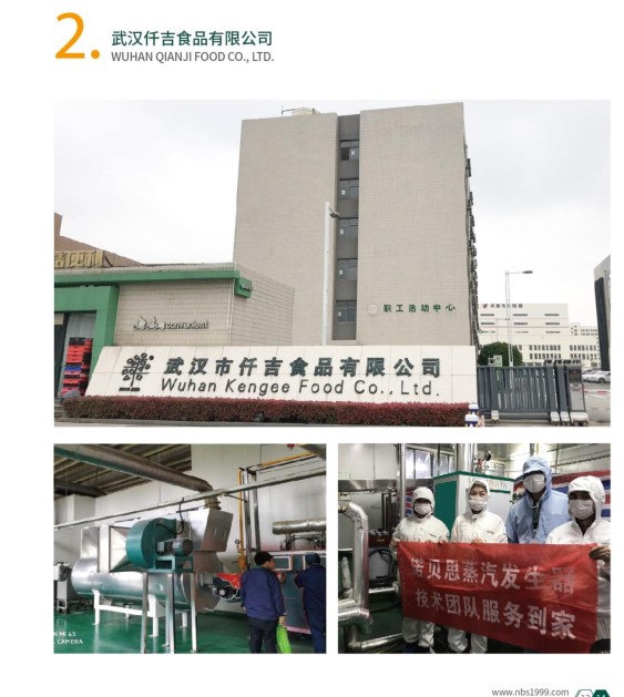 燃?xì)庹羝l(fā)生器助力食品加工行業(yè)升級